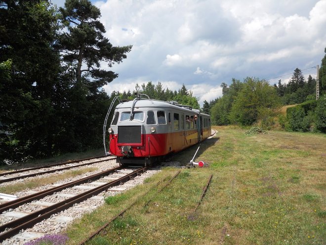 DSCN9774.JPG