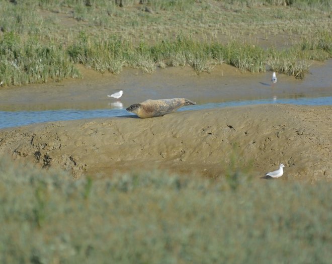 DSC_0206_2.jpg
