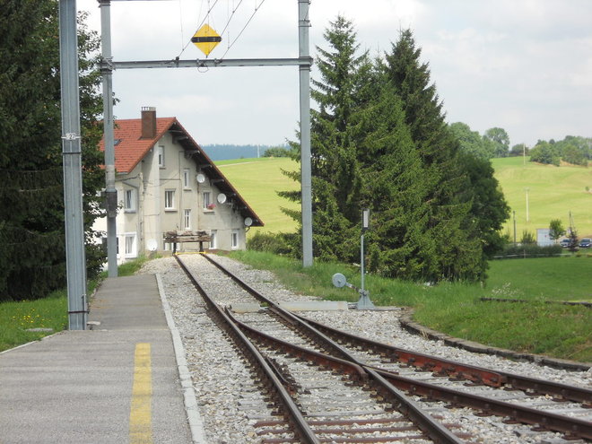 DSCN1306.JPG