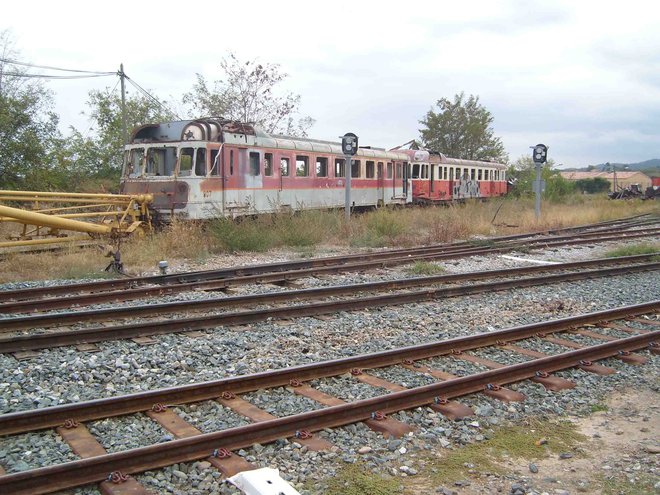 SL273202.JPG