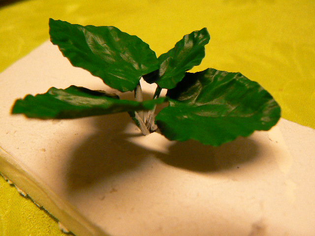 P1120770.JPG