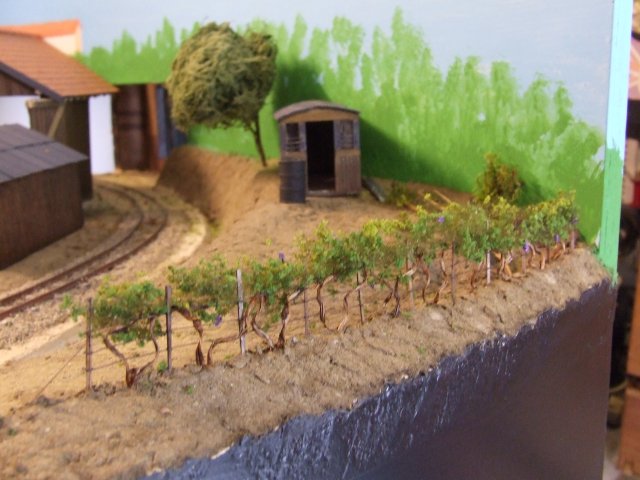 Dscf4550.jpg
