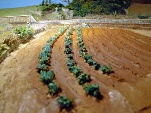 petites-legumes.jpg