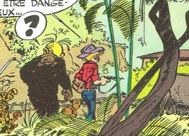 fougères franquin.jpg