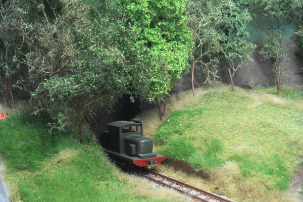 T 70 vegetation.jpg