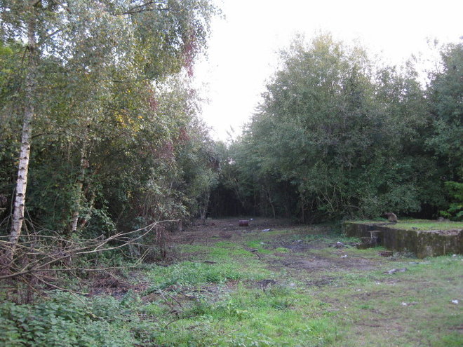 2013 10 15 LE D2FRICHAGE A ENCORE AVANCE_003_3_1.JPG