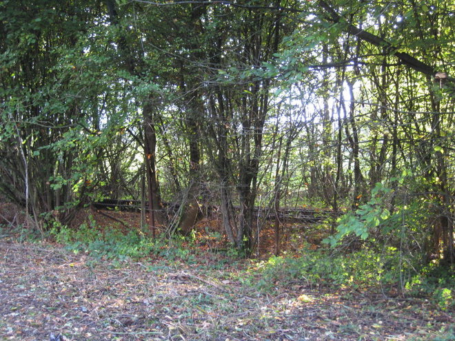 2013 10 15 LE D2FRICHAGE A ENCORE AVANCE_007_7_1.JPG
