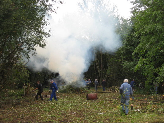 2013 10 19 PREMIER GROS TRAVAUX PAR LE MTVS DEFRICHAGE_010_10_1.JPG