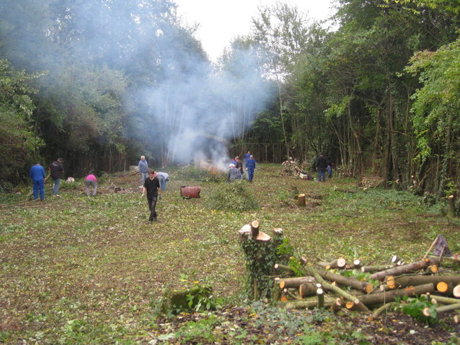 2013 10 19 PREMIER GROS TRAVAUX PAR LE MTVS DEFRICHAGE_011_11_1.JPG