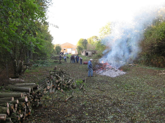 2013 10 19 PREMIER GROS TRAVAUX PAR LE MTVS DEFRICHAGE_023_23_1.JPG