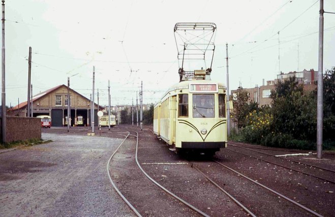 STIB007-1.jpg
