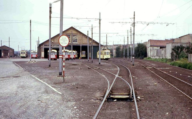 STIB005-1.jpg