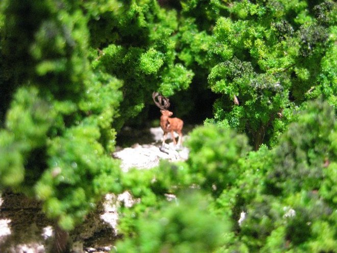 Photo 004.jpg