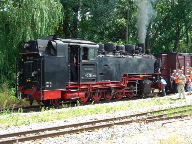Ochsle4.jpg