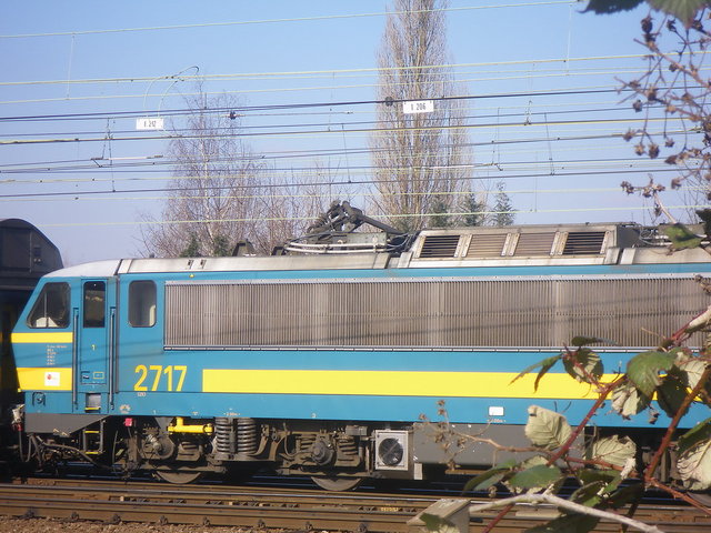 IMGP0375.JPG