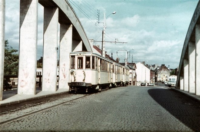7998466.jpg