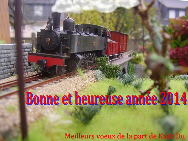 PA280040_voeux 2014.jpg