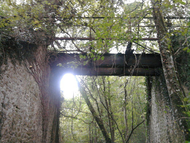 Photo-0016.jpg