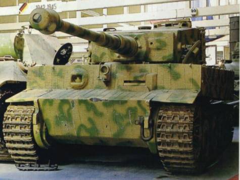 tiger.jpg