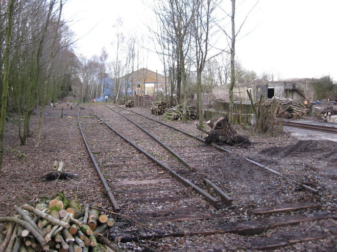 2014 02 04 LE DEFRICHAGE AVANCE_002_2_1.JPG
