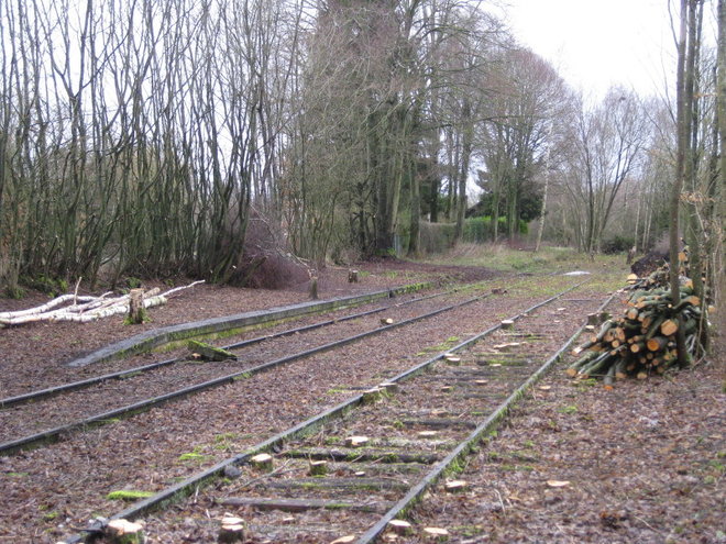 2014 2 06 LE DEFRICHAGE PERMET DES DECOUVERTES_004.JPG