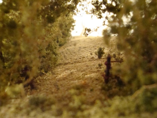 Marais 0003.jpg