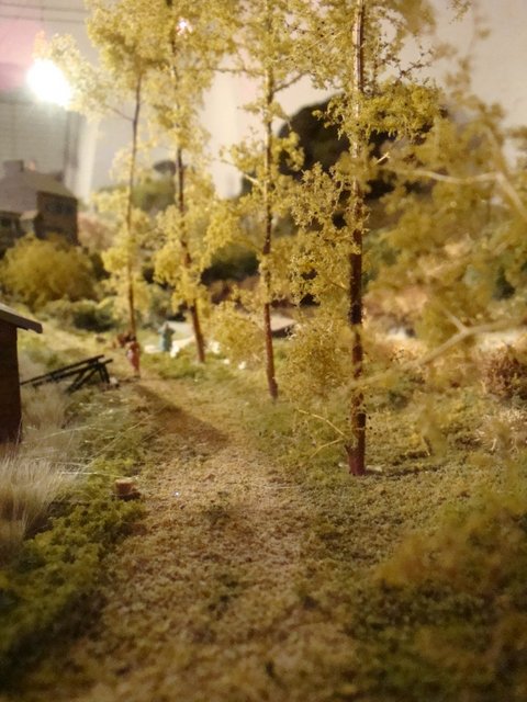 Marais 0006.jpg