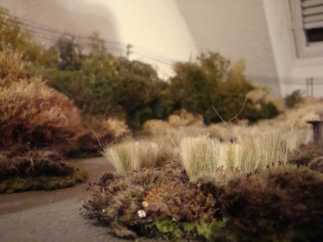 Marais 0018.jpg