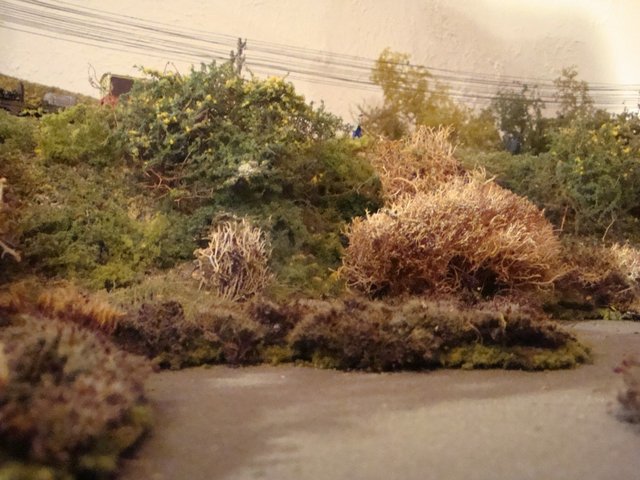 Marais 0019.jpg