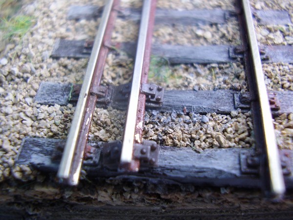 P9100045_2.jpg