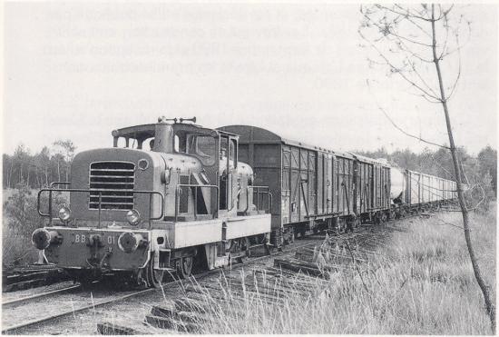 BB-01_8-de-retour-de-Laluque-Photo-Georges-Tu.jpg