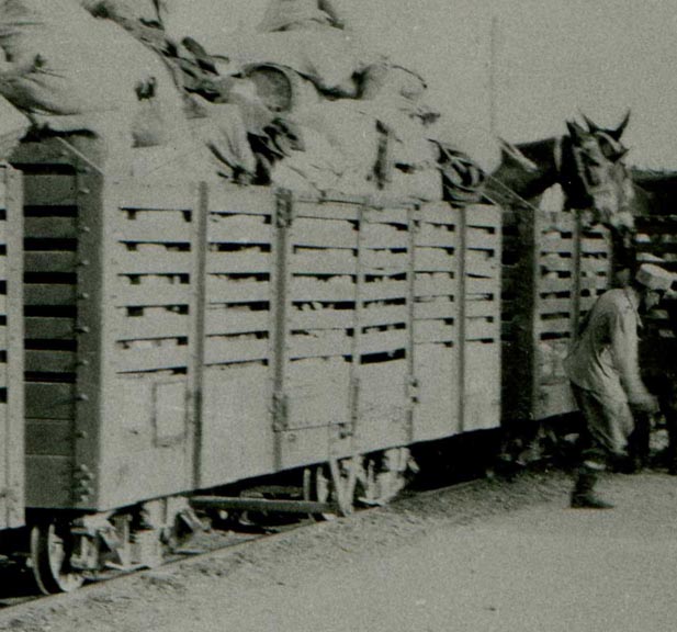Wagon Maroc.jpg