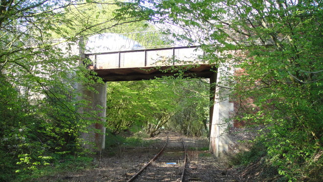 DSC03232_1200.JPG