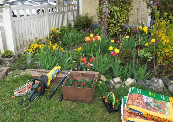 jardin 1.jpg