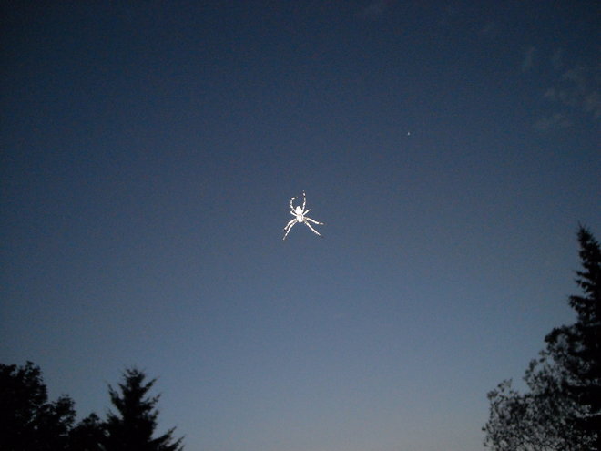 DSCN2664.JPG