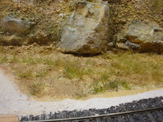 herbe2.JPG