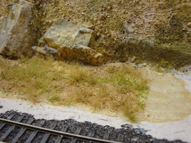 Herbe3.JPG