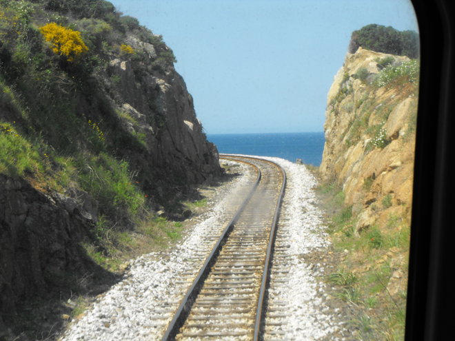 DSCF2741.JPG