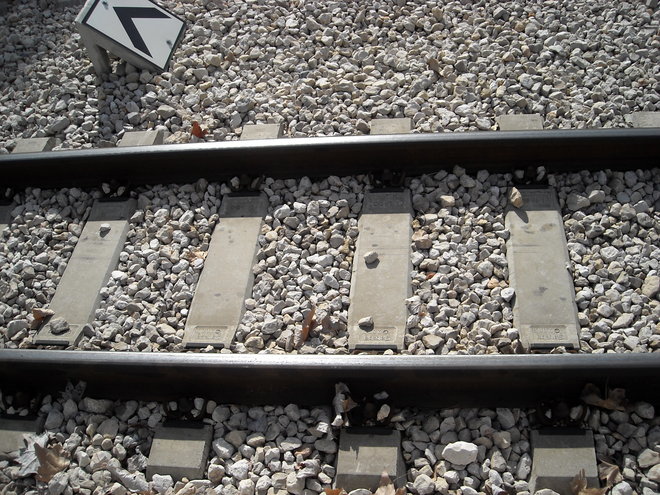 DSCN2886.JPG