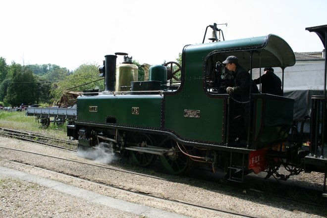 MTVS-1.jpg
