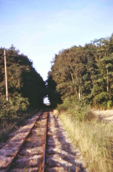 1980 09 30.jpg