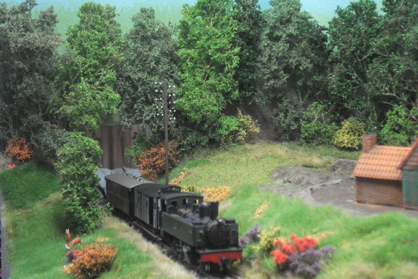 Sous bois001.jpg