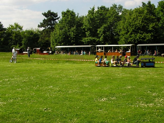 P1011645_r.JPG