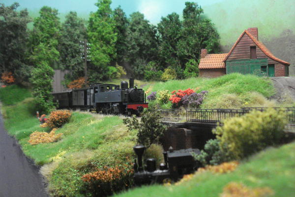 Sous bois003.jpg