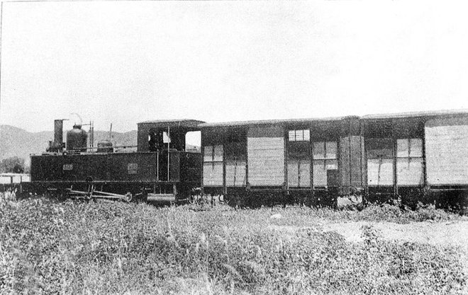 Cail con vagones de carga SMALL.jpg