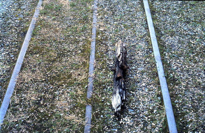 3-4-2010_015.JPG