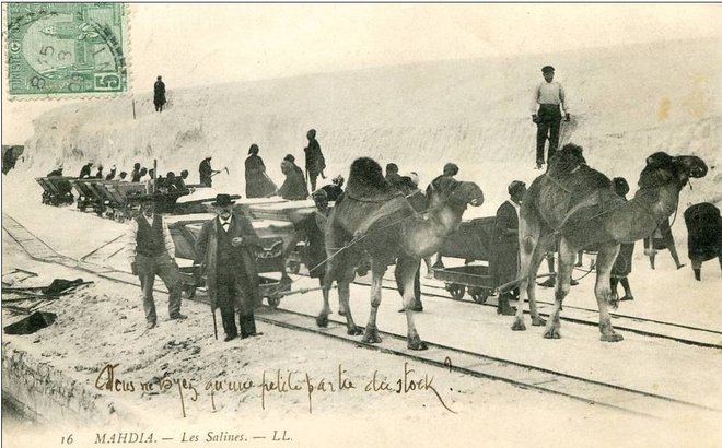 LR Mahdia Salines..jpg