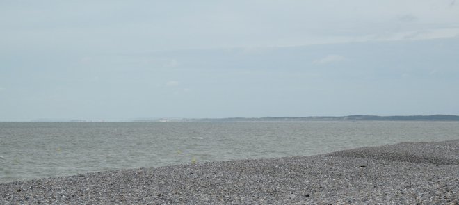 IMG_1848.jpg