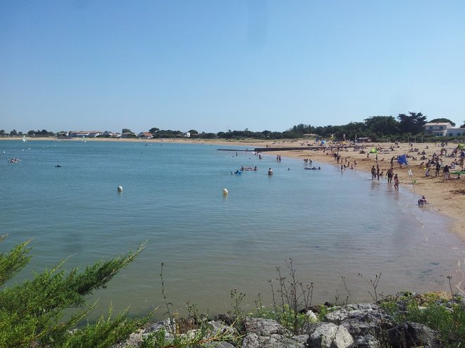 20140710_172930.jpg