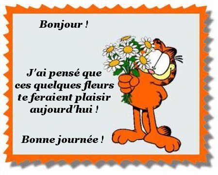 anni fleurs chat.jpg